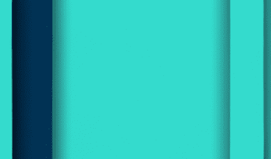 What Successful Australians Learned From Study And Work