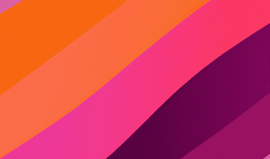 Australiens A Succes Leurs Parcours Et Lecons Apprises